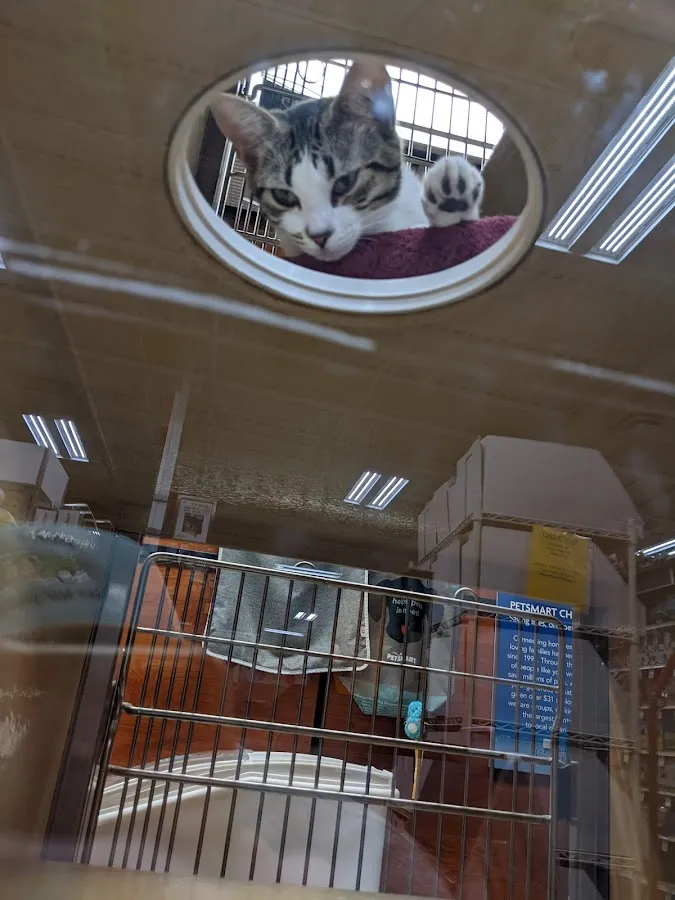 PetSmart photo 2