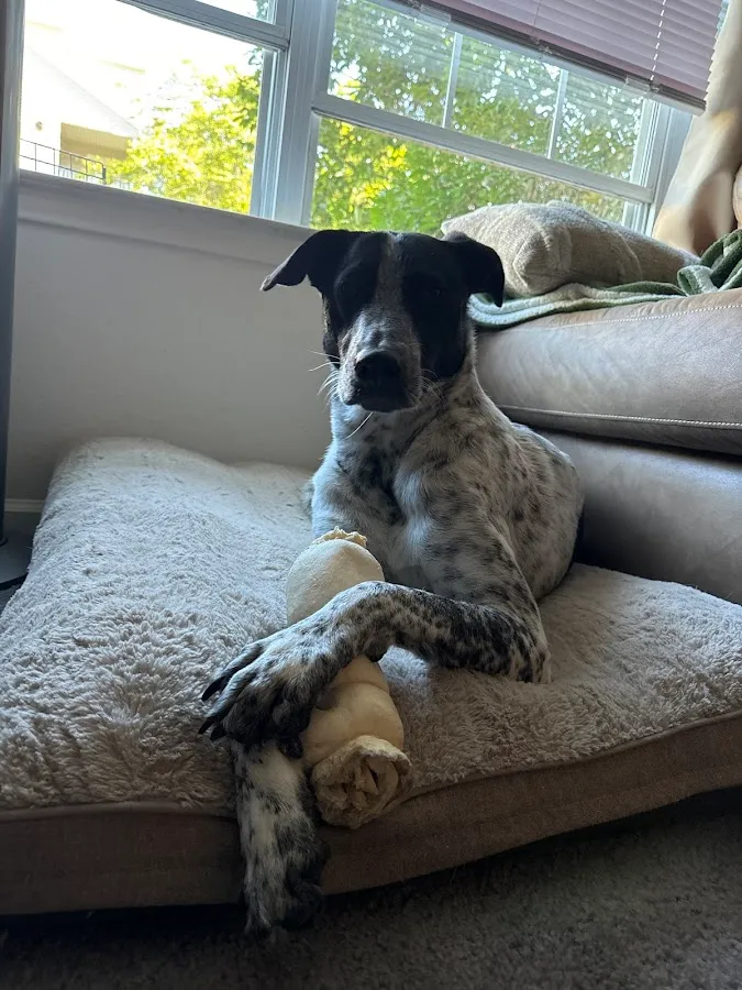 Petzlove Food 'n Stuffz Montvale photo 3