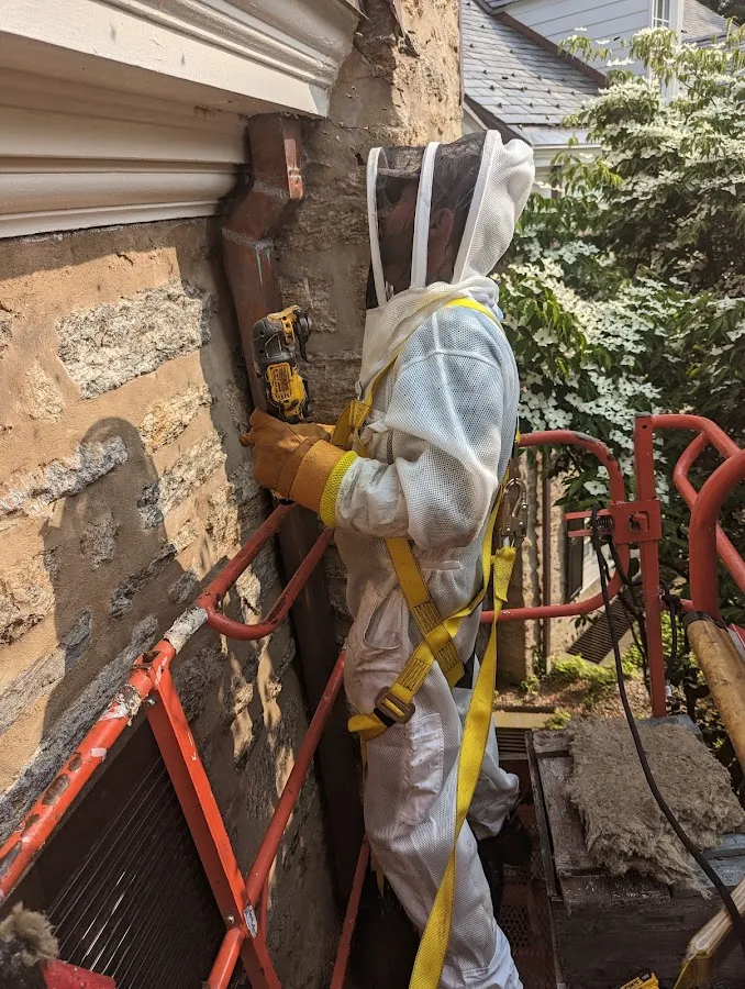 Philadelphia Bee Co. photo 2