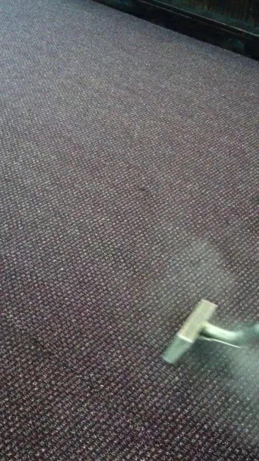 PHILADELPHILA GREEN CARPET CLEANING & REPAIRS photo 3