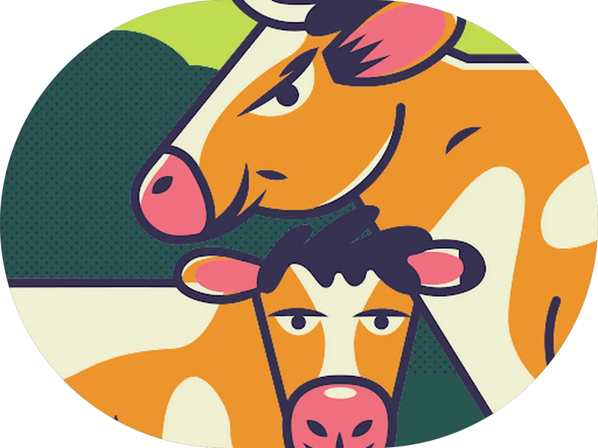 Philip A. Dibartolo, DC photo 3