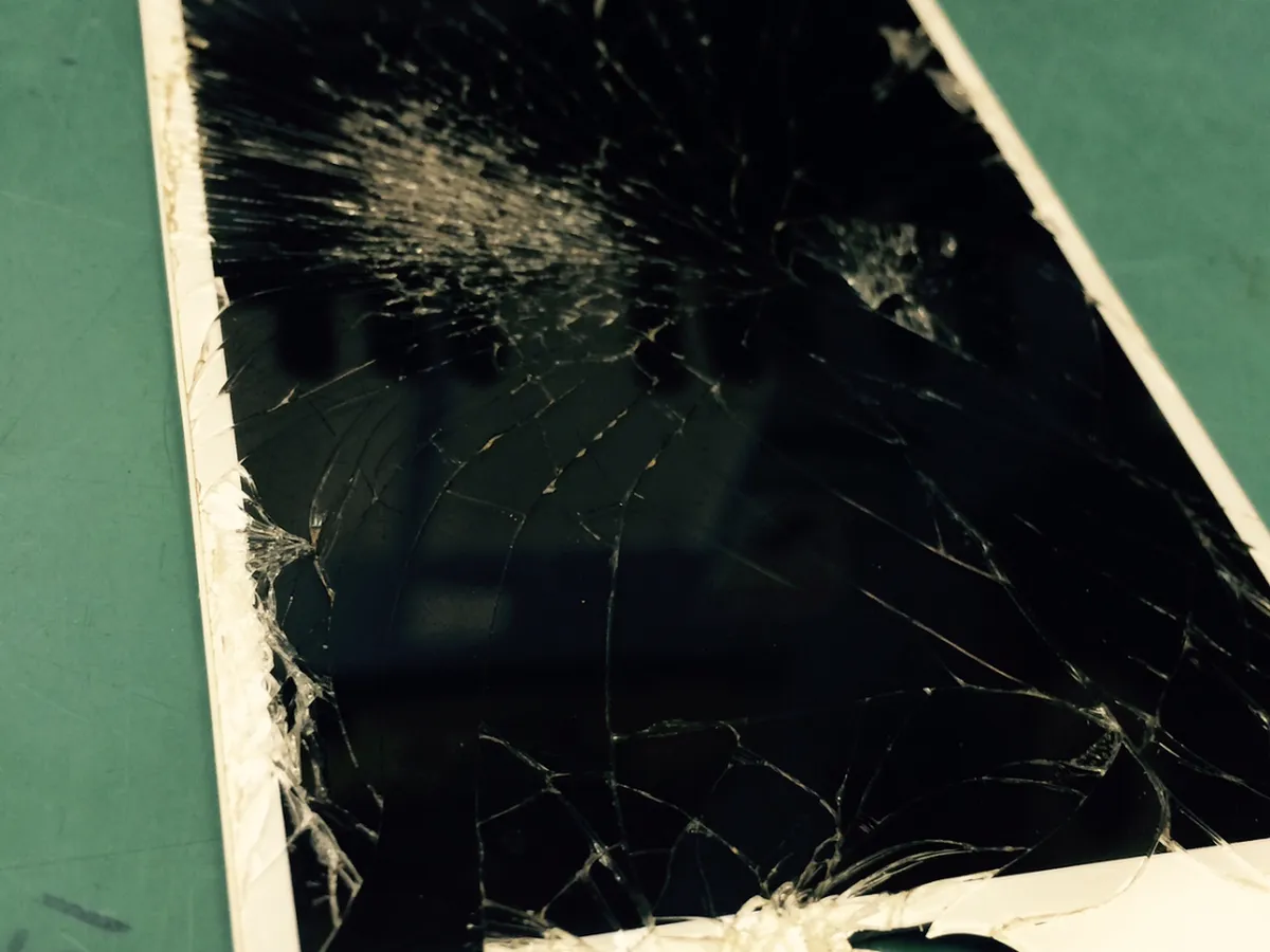 Pineland Plaza photo 5