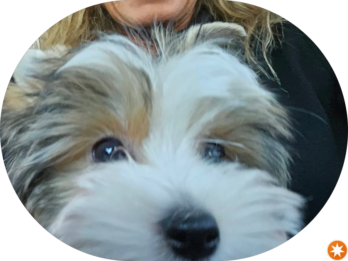 Pinewood Cleaners & Tailor photo 5