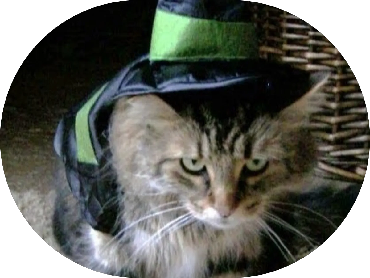 Pinnacle Termite And Pest Control, LLC photo 2