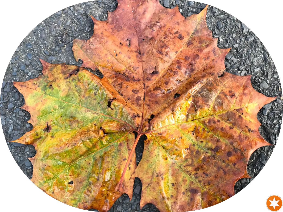 Pinpoint Inspection & Testing Inc. photo 3