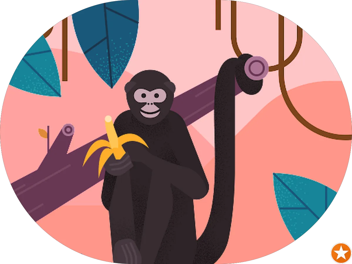 Pirate Voyages photo 4