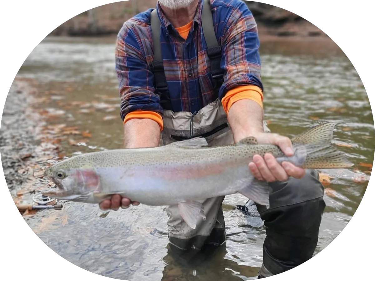 Pivot PT - Gloucester (Gloucester Courthouse), an Athletico company photo 3