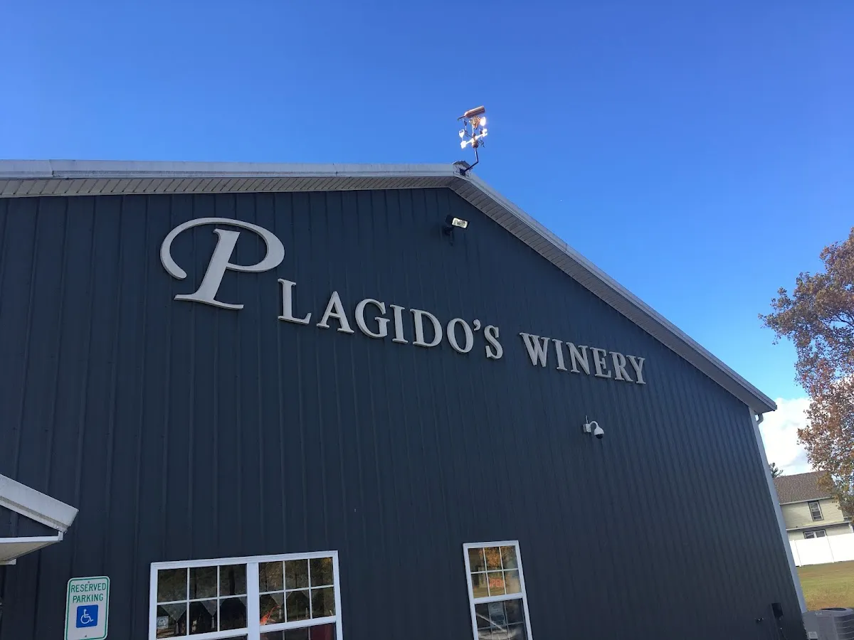 Plagido's Winery photo 2