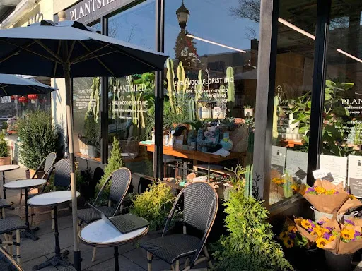 PlantShed with Englewood Florist, Inc. photo 5