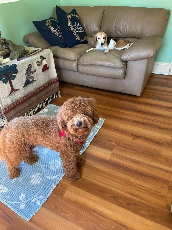 Pleasant Paws Inn photo 2