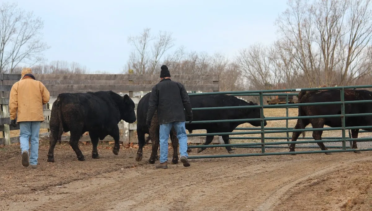 Pleasantville Beef photo 2