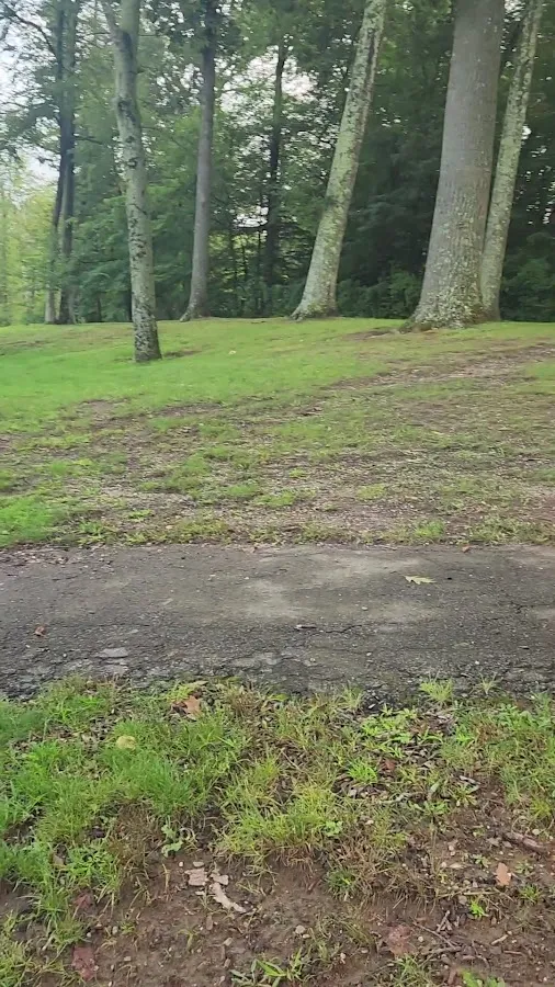 Pleasantville Pool Plasterers