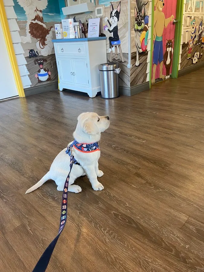 Point Pleasant Veterinary Hospital