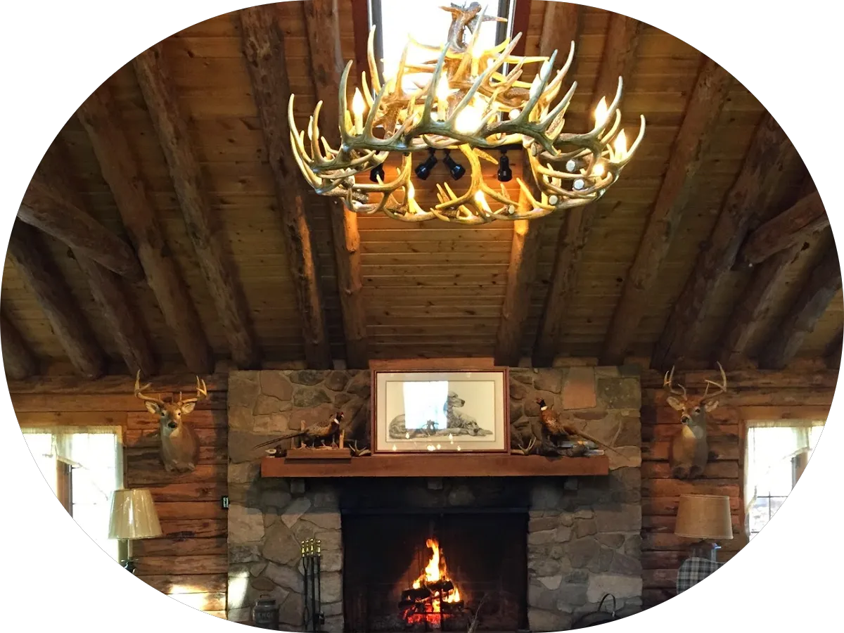 Pool Whisperer photo 2