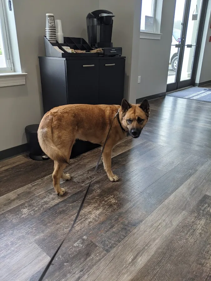 Precious Paws Animal Hospital photo 2