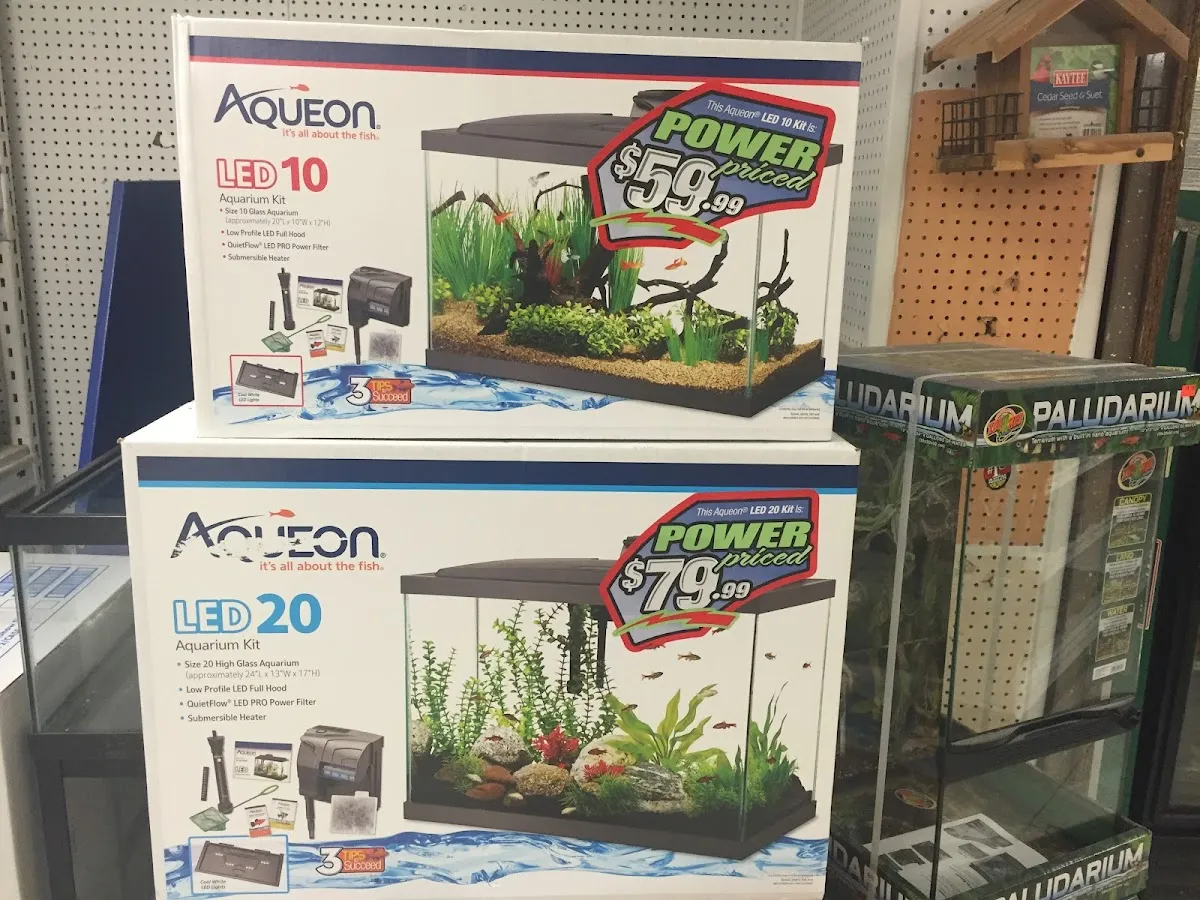 Precious Pets III photo 5