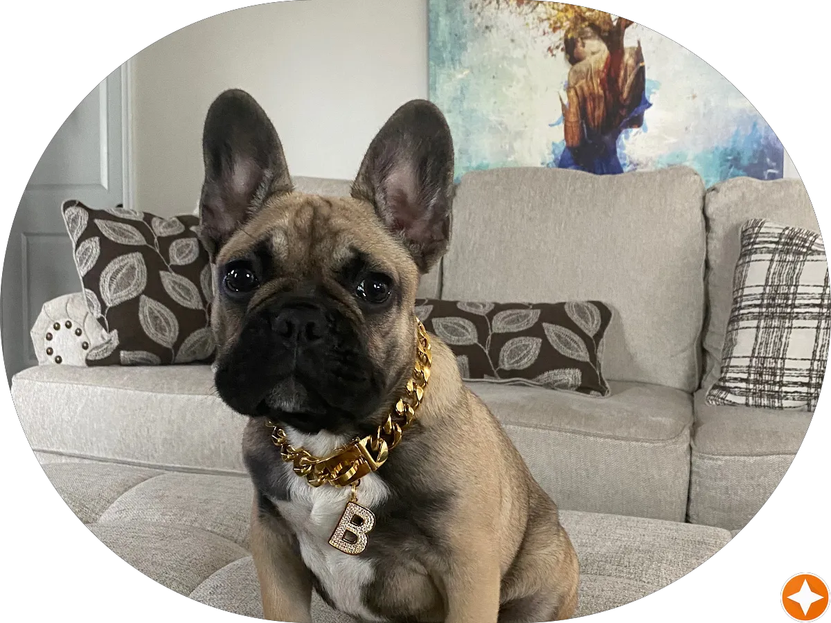 Precision Garage Door of South Jersey photo 4