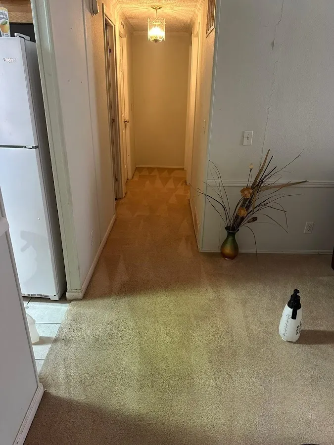 Premier Carpet and Upholtery Cleaning photo 2