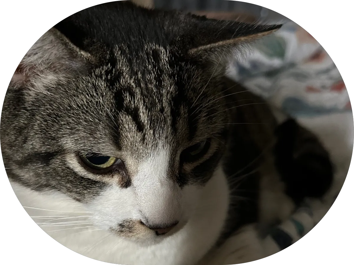 Premier Eye Associates photo 2