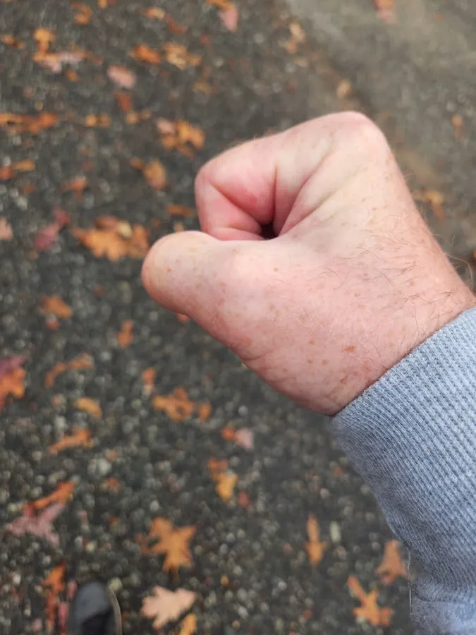 Premier Physical Therapy