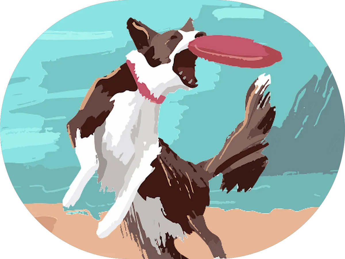 Premier Towing & Recovery photo 5