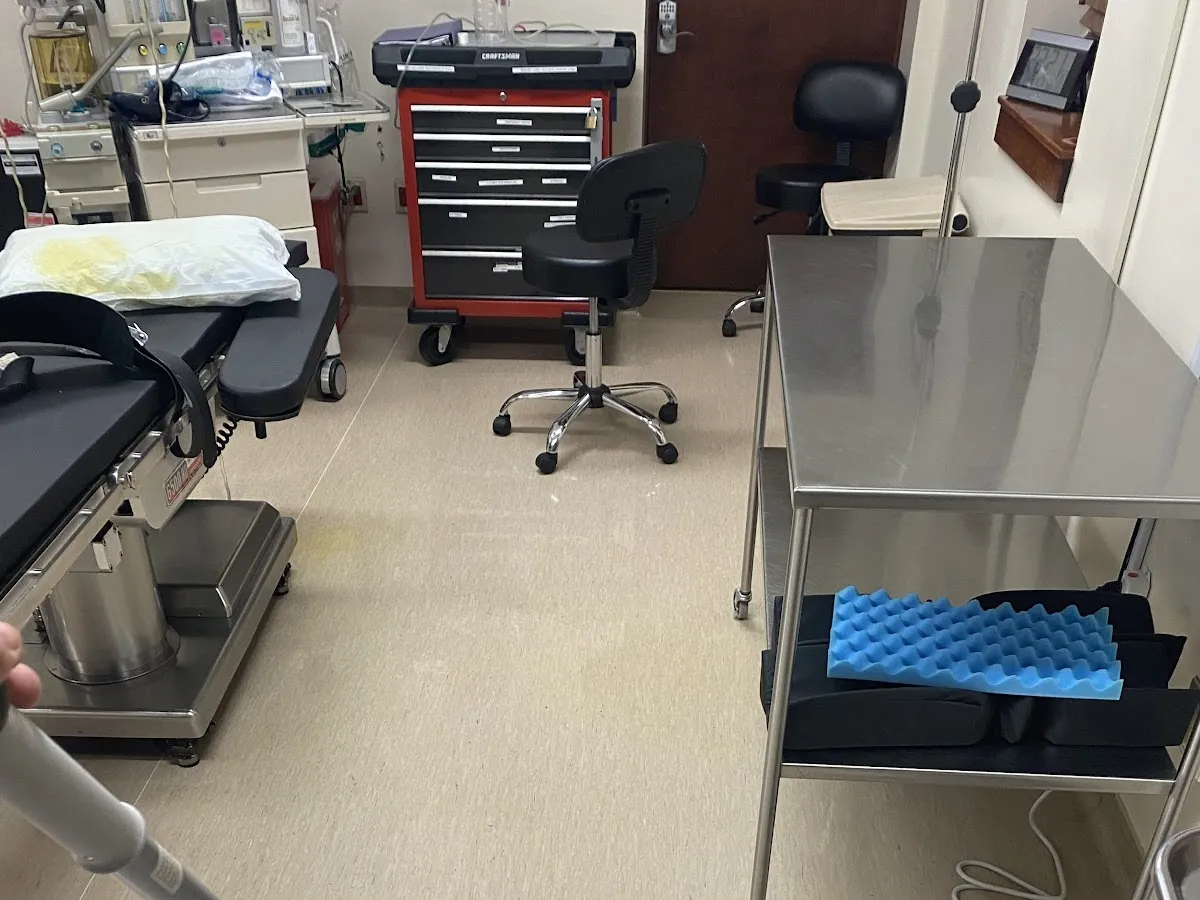 Premium Window Cleaning photo 2