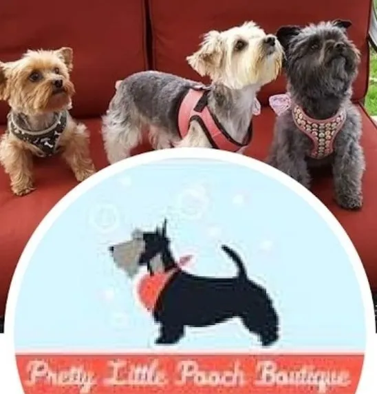 Pretty Little Pooch Boutique LLC