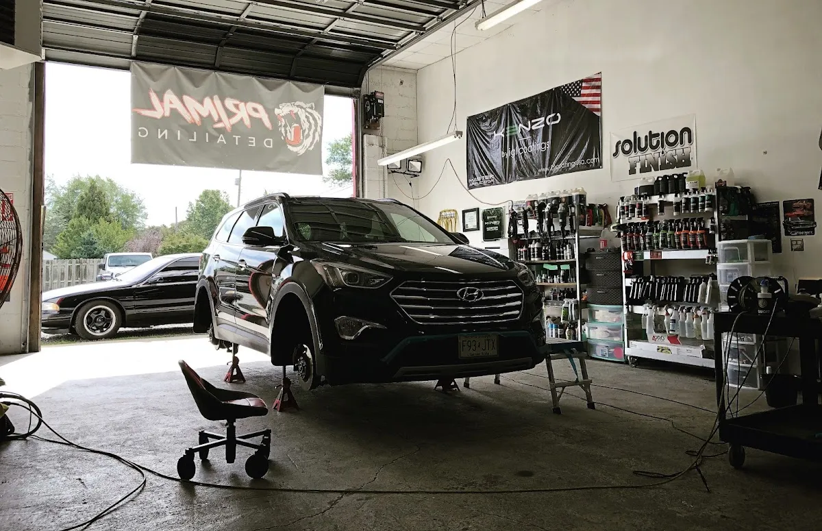 Primal Detailing photo 2