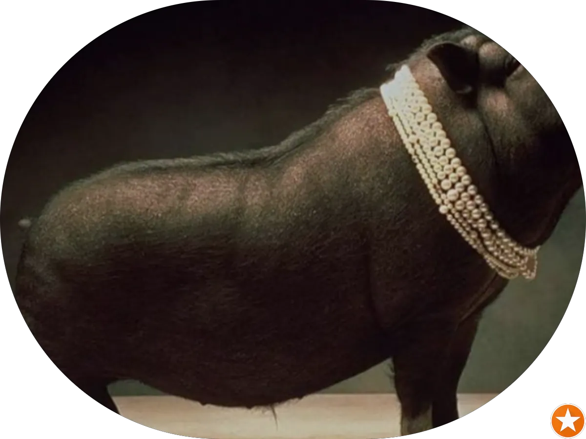 Primer Insurance Agency photo 2