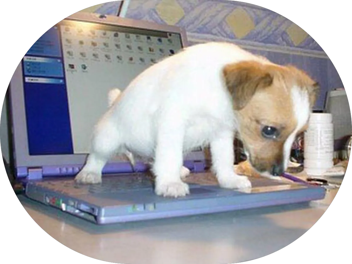 Princeton Dermatology Associates photo 4