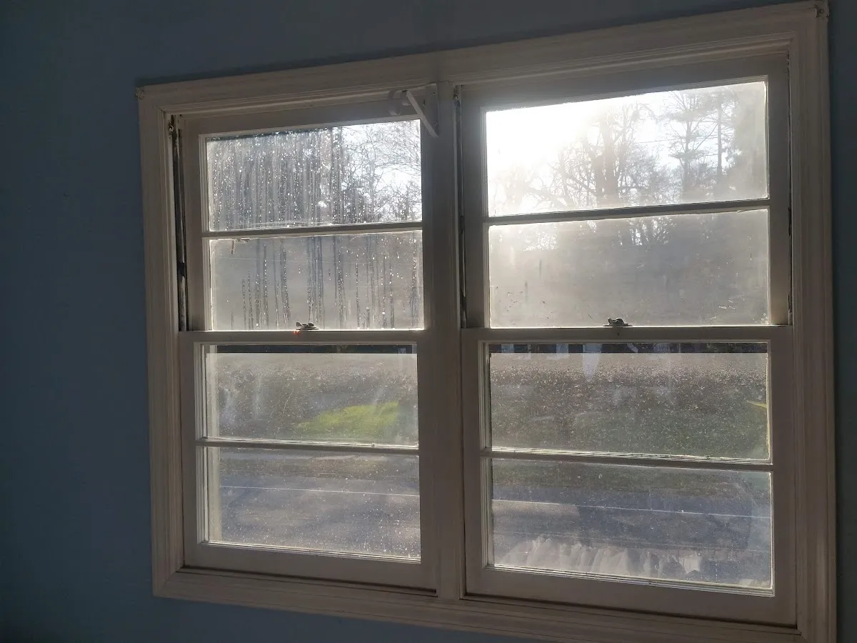 Prizm Window Cleaning photo 4