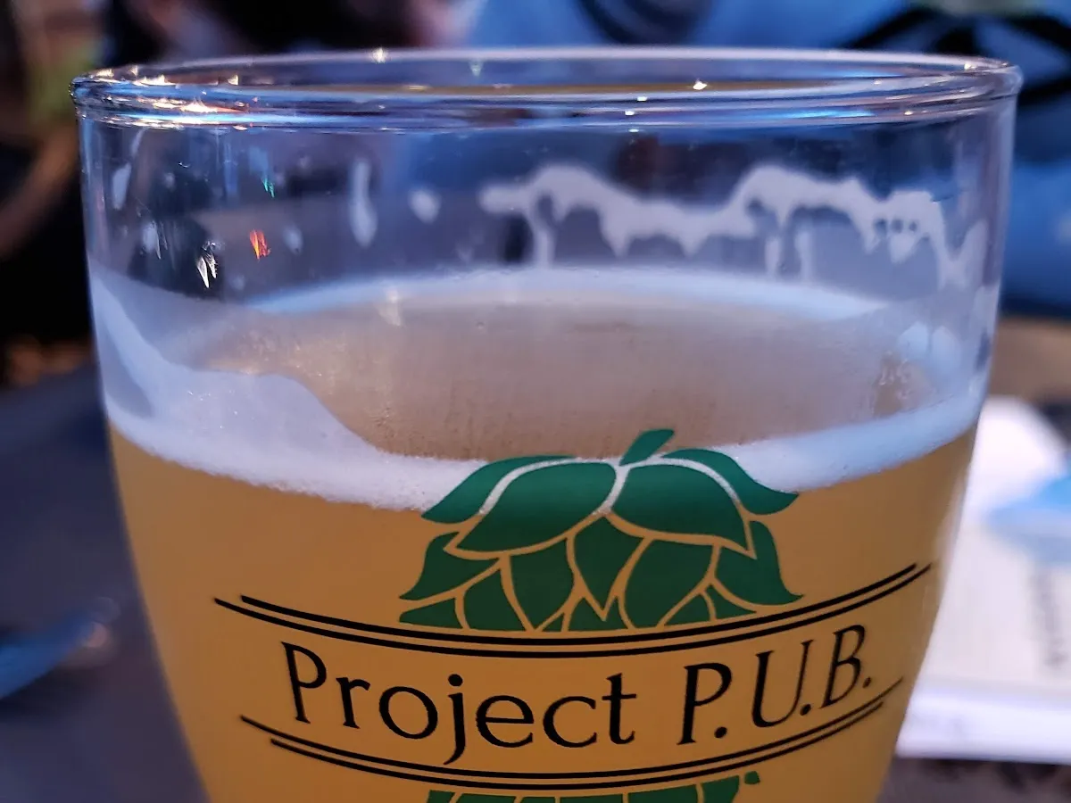 Project P.U.B. photo 5