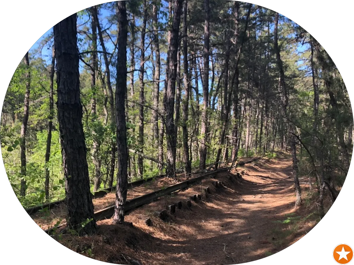 Psychiatry Services photo 4