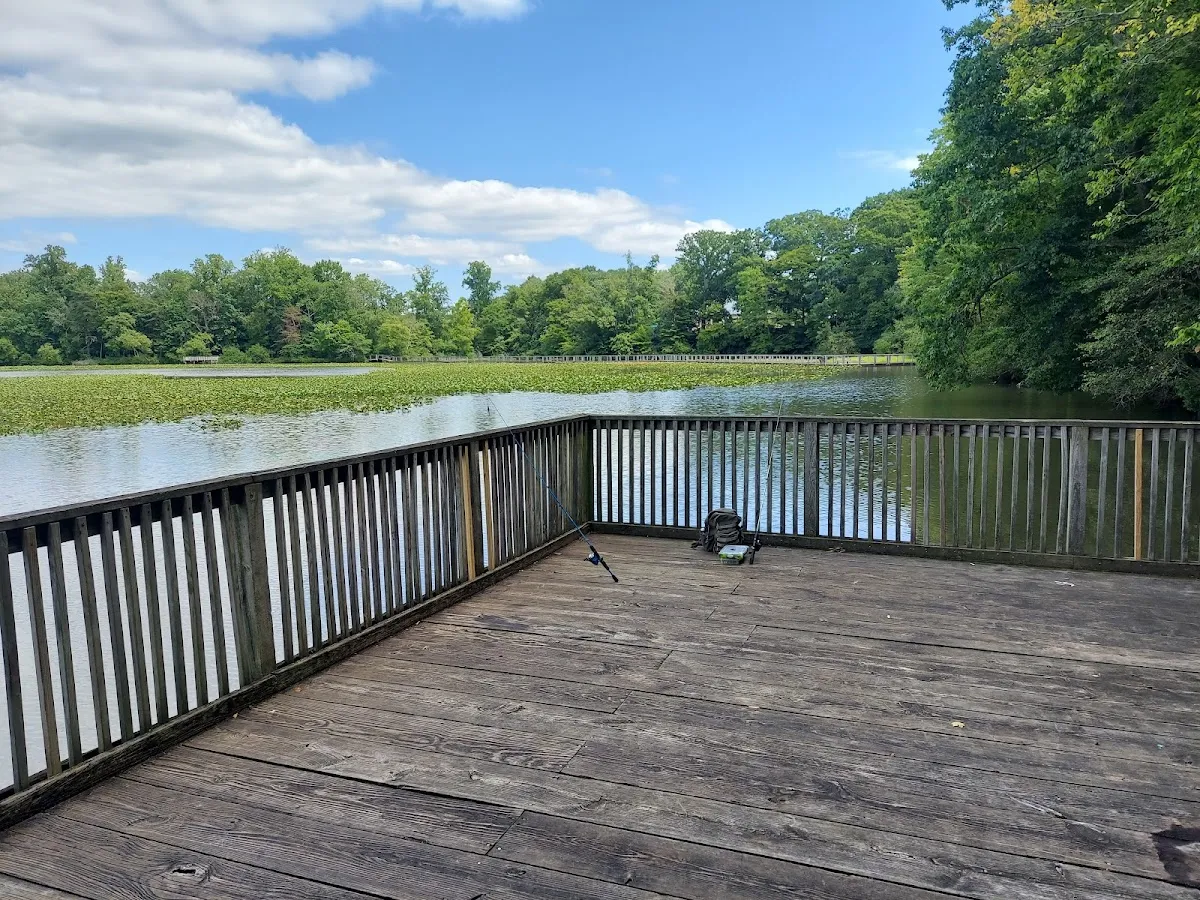 Public parking photo 4