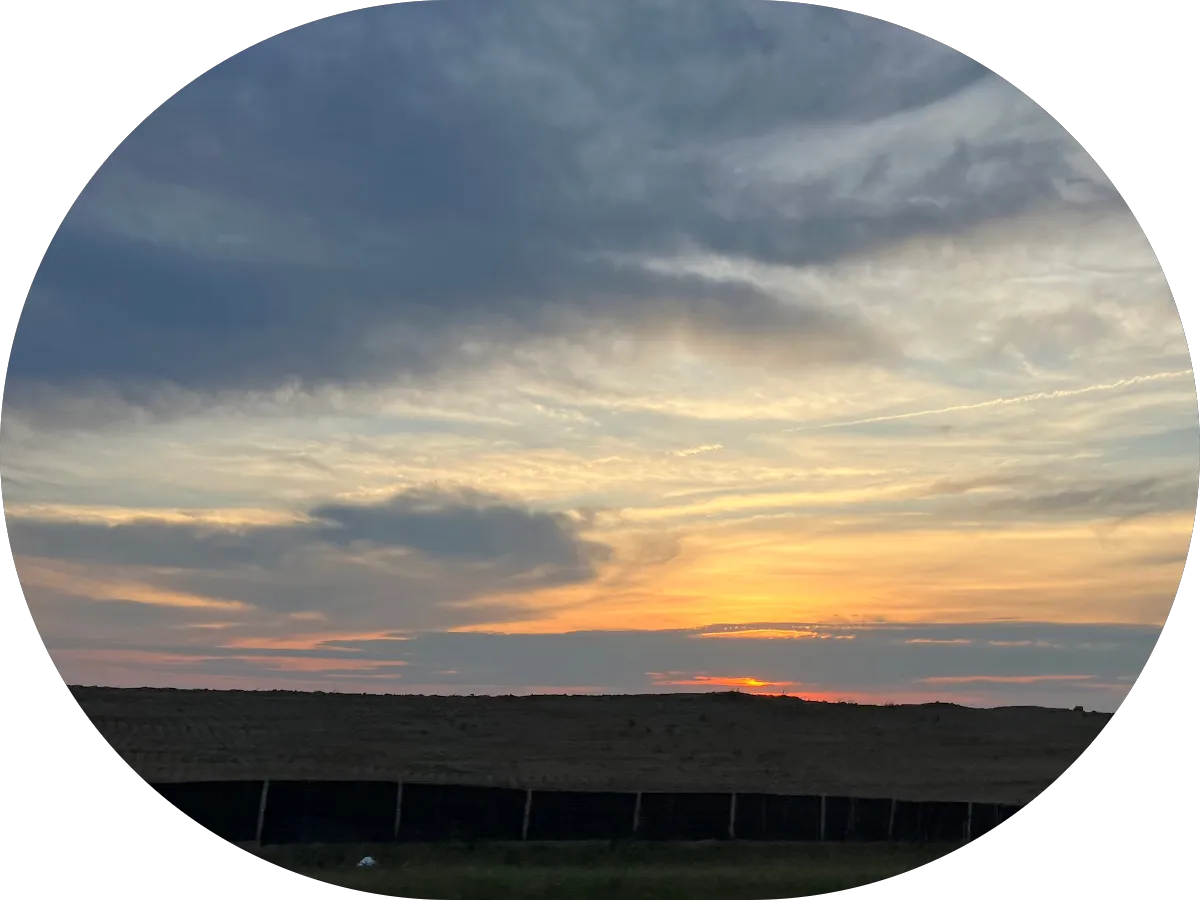 Puppy Cuts Mobile Grooming LLC photo 4