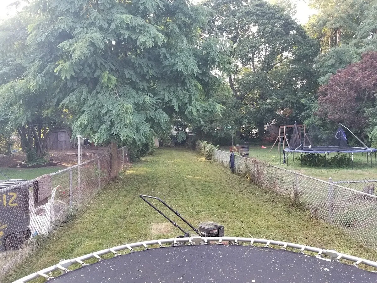 Quality Care Landscaping photo 3