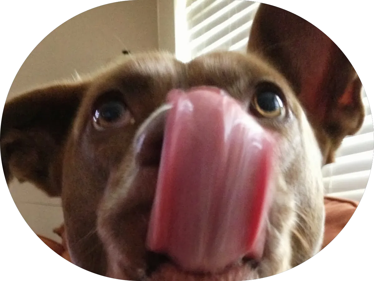 Quality Custom Painting photo 5