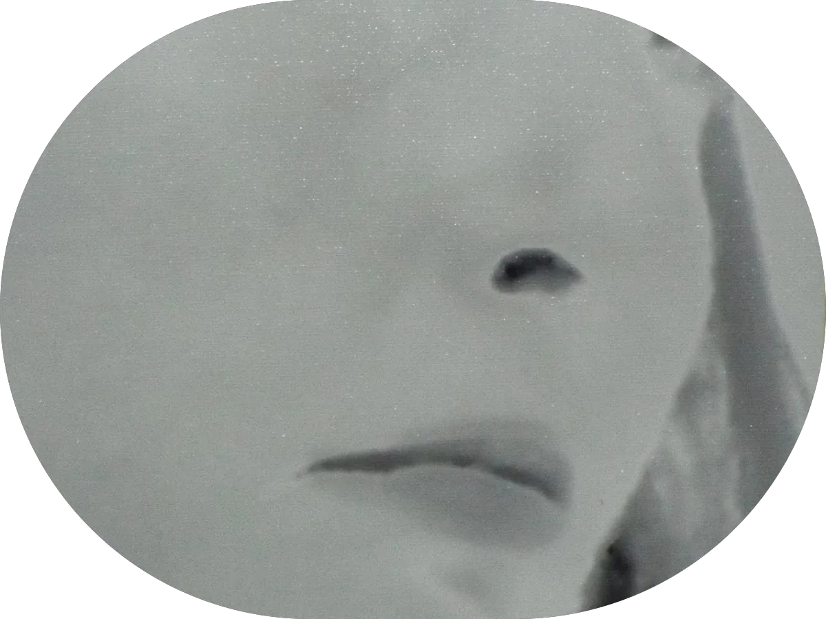 Quality LLC. photo 5