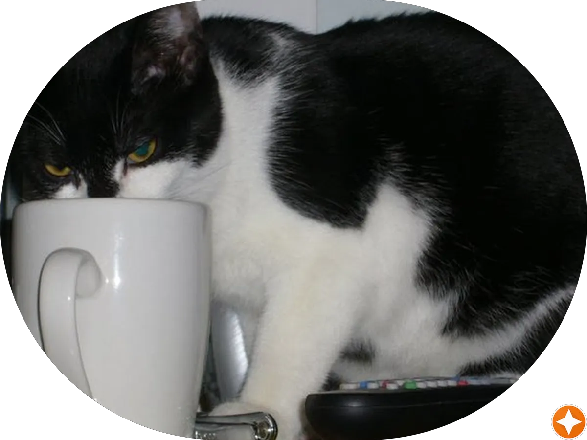 R J Severance & Sons photo 5