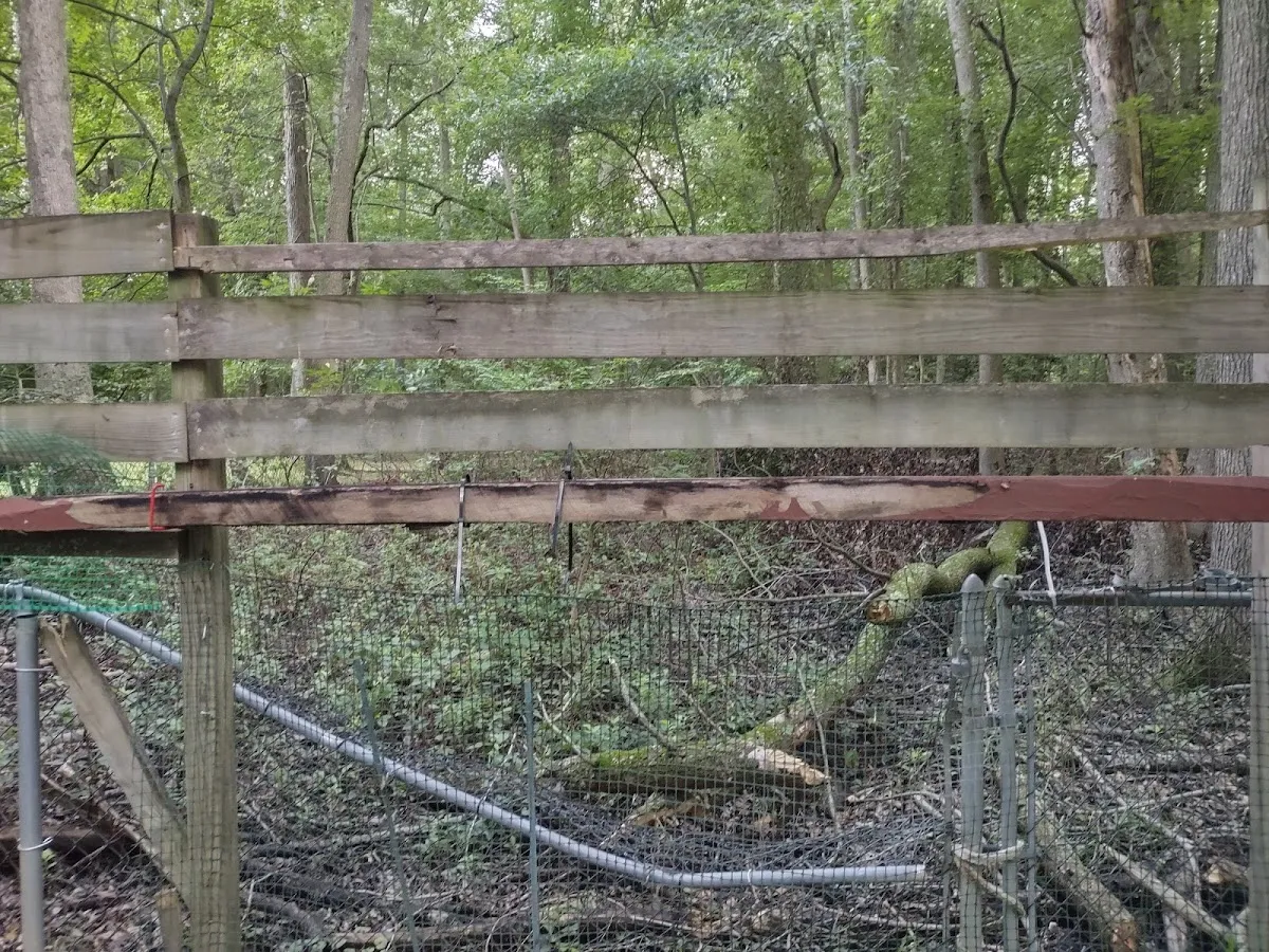 RAC Handyman Services photo 4