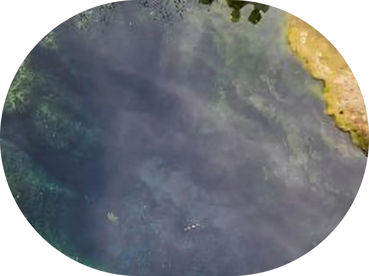 Rachel Johnson Real Estate Group- Keller Williams photo 5