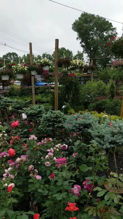 Ramblewood Garden Center photo 3