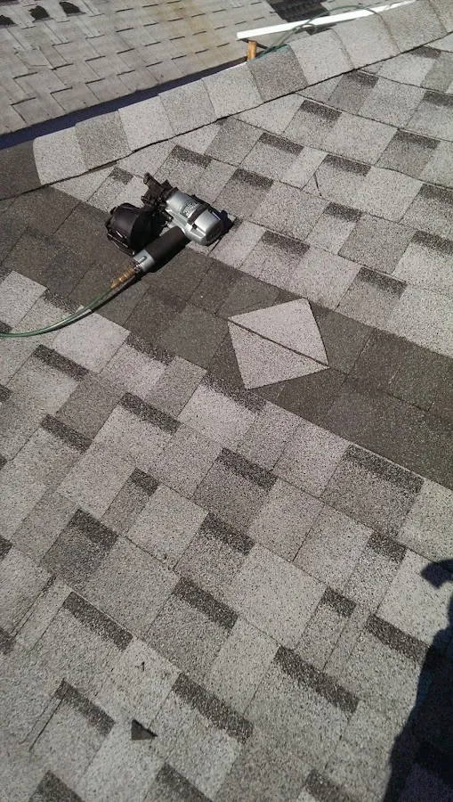 Rare breed construction photo 3