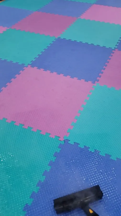 Ray Sunshine Cleaning Services photo 4