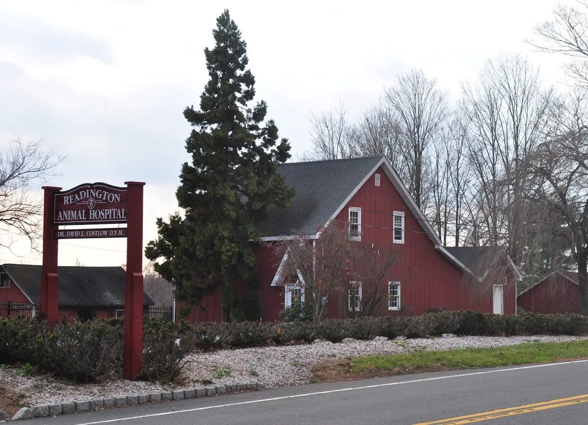 Readington Animal Hospital