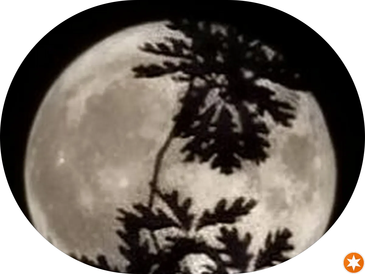 Recon Auto Spa photo 5