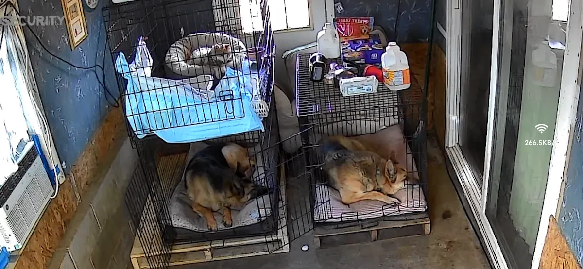 Red Bank Veterinary Hospital (RBVH) - Tinton Falls photo 3