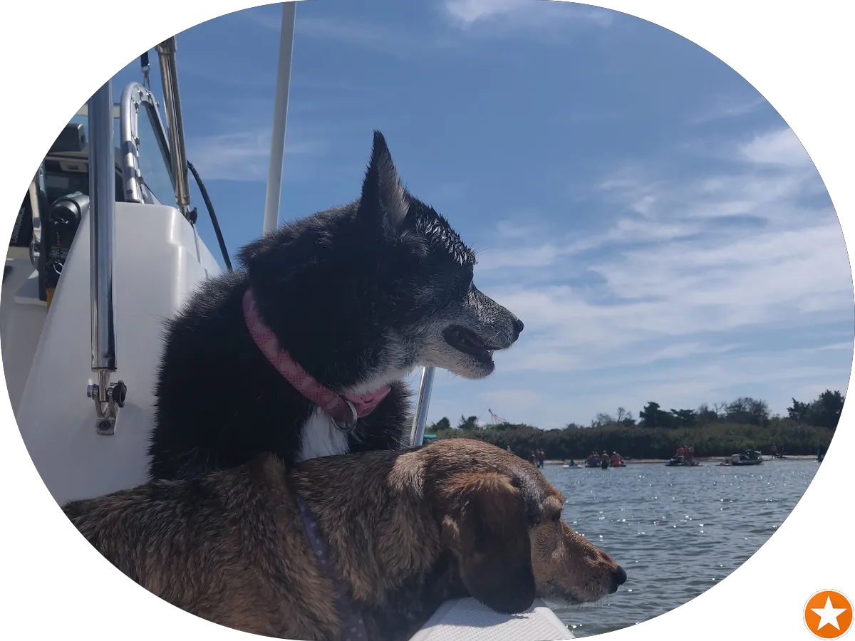 Redline Motorcycles photo 3