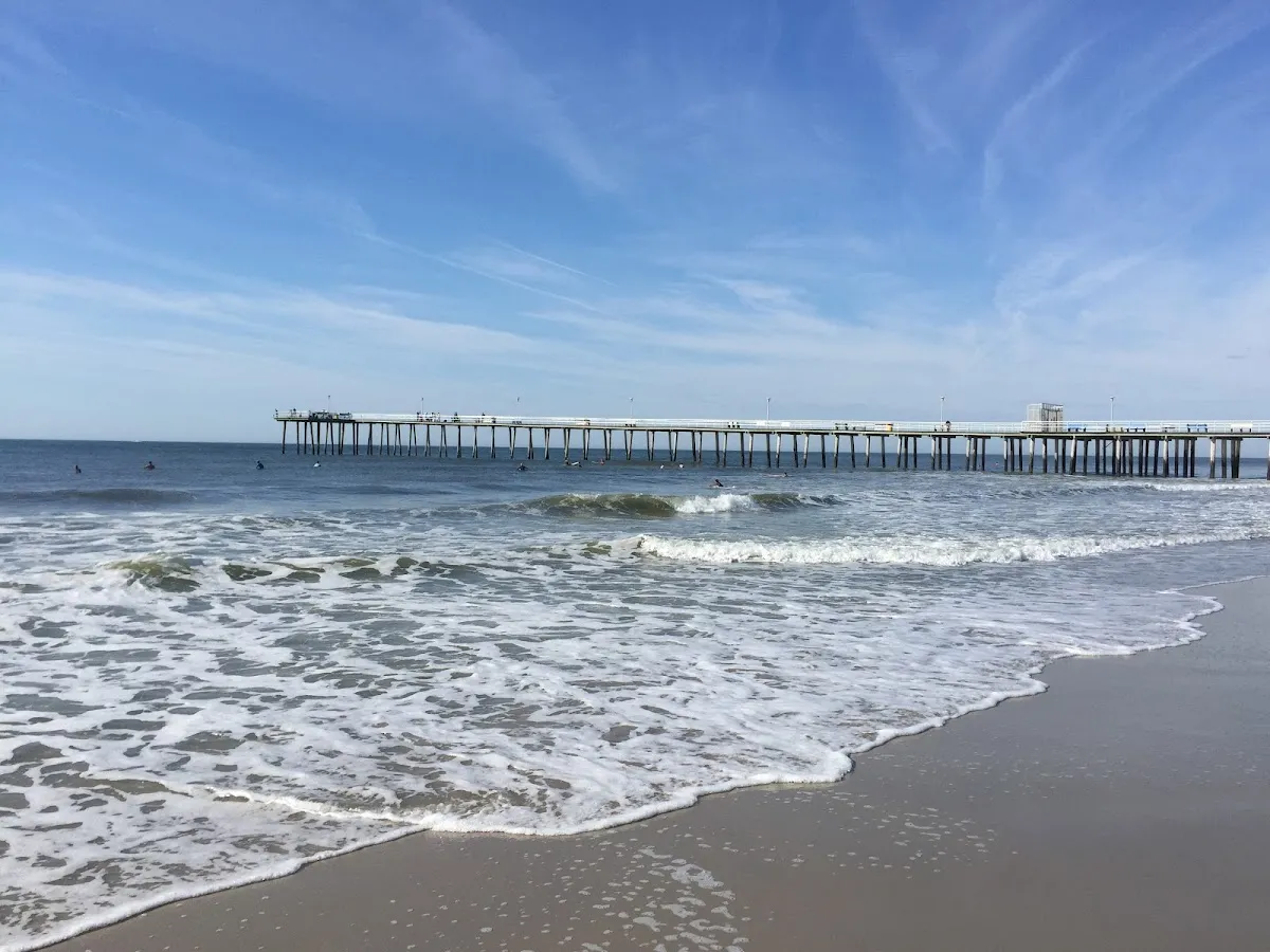 Rene Kane and Company - BHHS, Fox & Roach photo 2