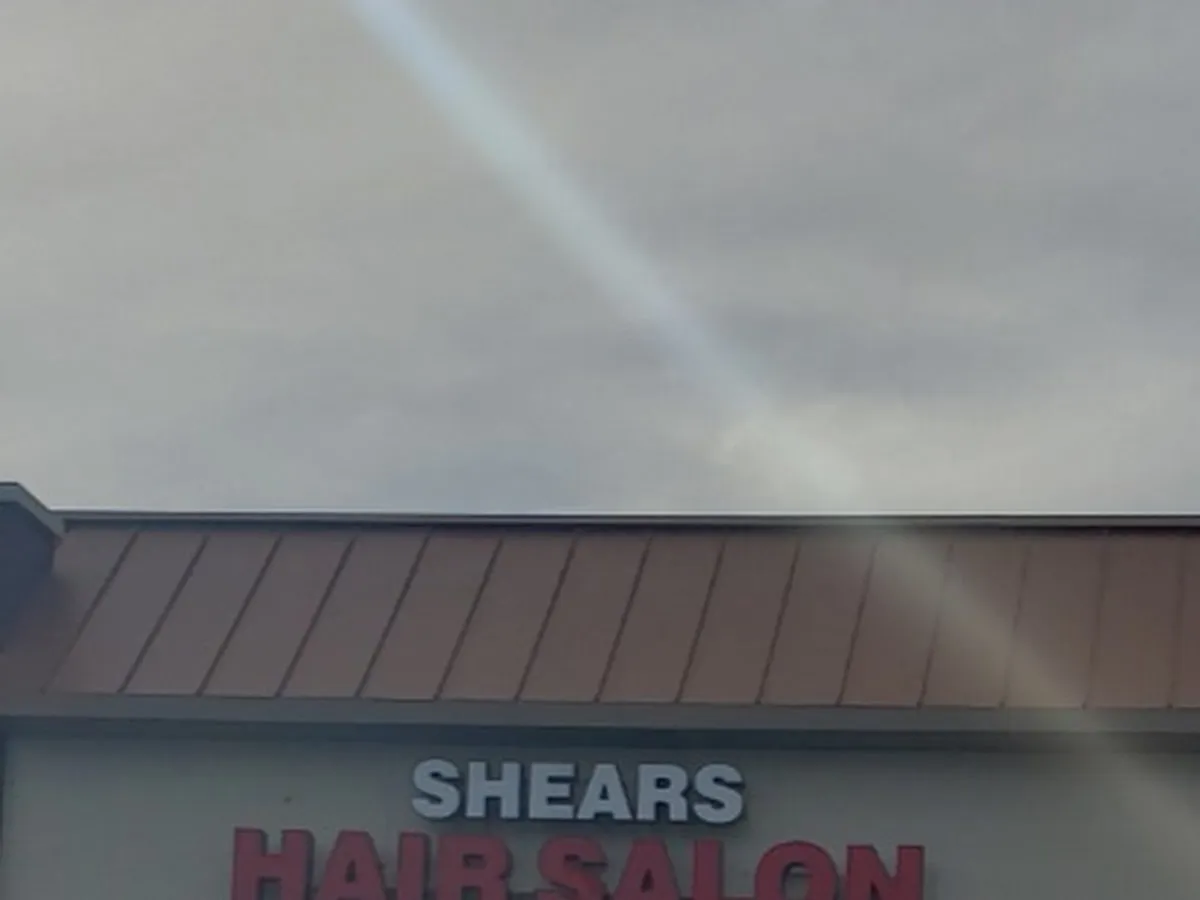 Renee's Shear Magic photo 4